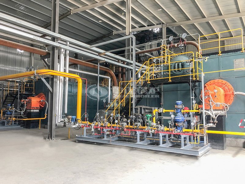 �¿ưµ¿Ƽ�15��SZSϵ������ʽȼ��������¯��Ŀ����